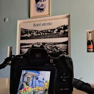 Отель Antonio